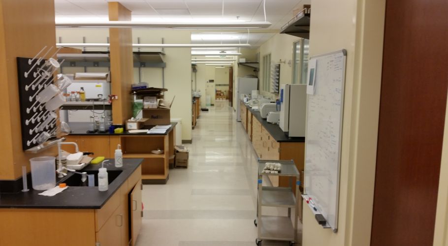 Lab Overview